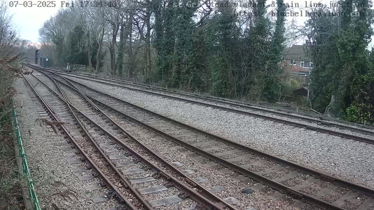 Multiple train tracks diverge from a point, passing through a tree-lined area on an overcast day.