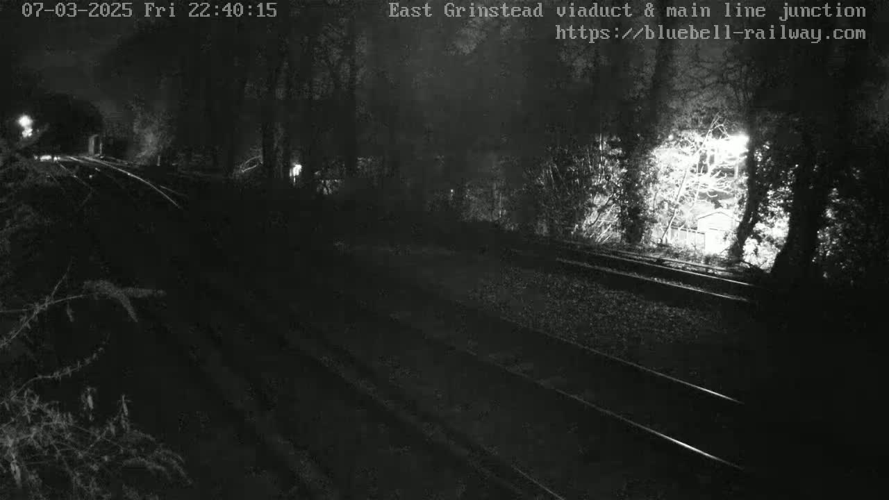 A nighttime view of train tracks running through a wooded area, dimly lit by nearby lights.
