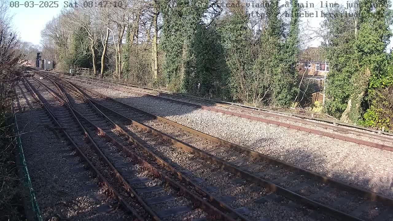Several train tracks diverge through a sunny landscape of trees and shrubs, near a residential house.
