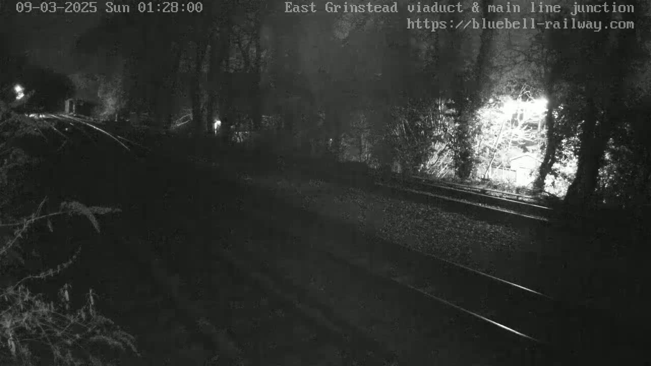 A nighttime view of train tracks surrounded by dark trees under a dark sky.