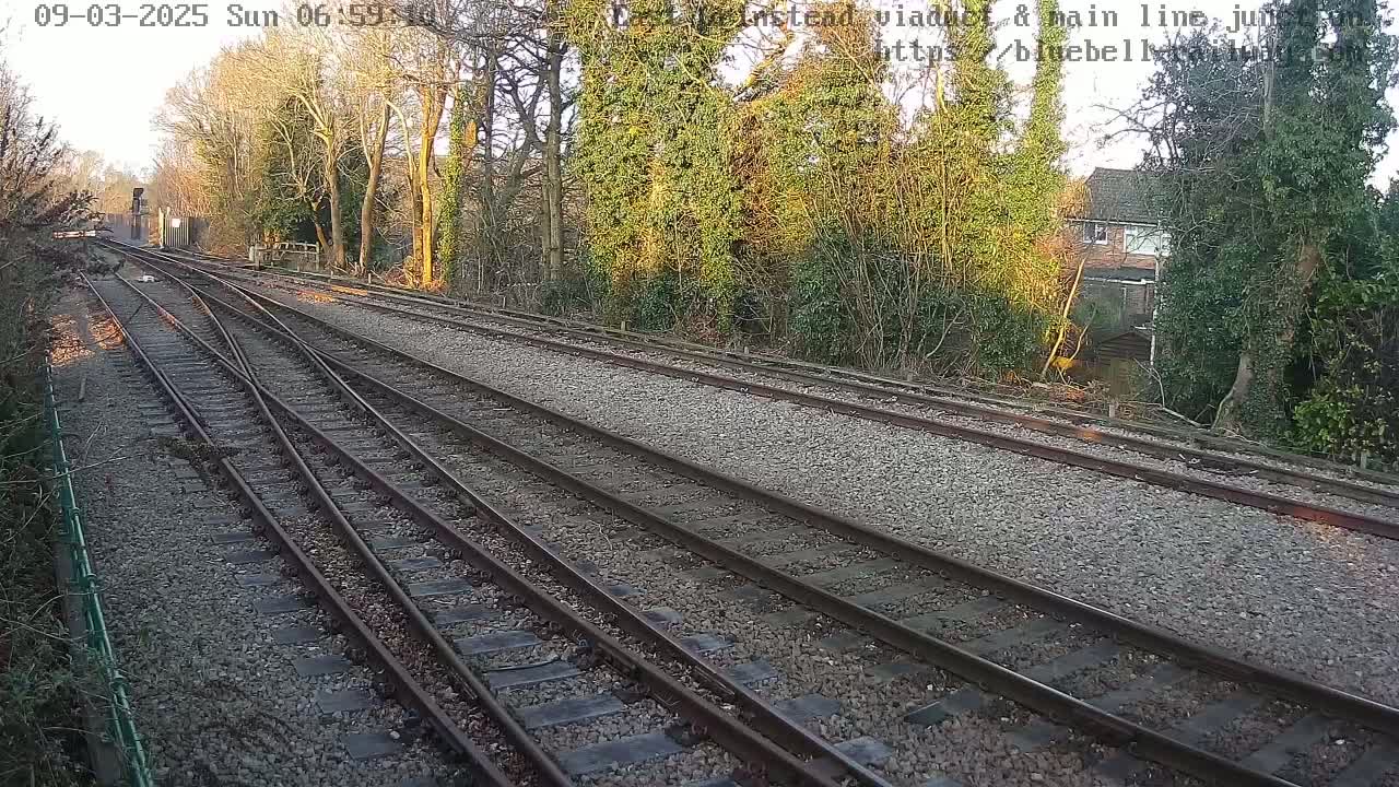 Multiple train tracks diverge in a gravel bed, bordered by leafless trees and shrubs in the fading sunlight of a late winter day.