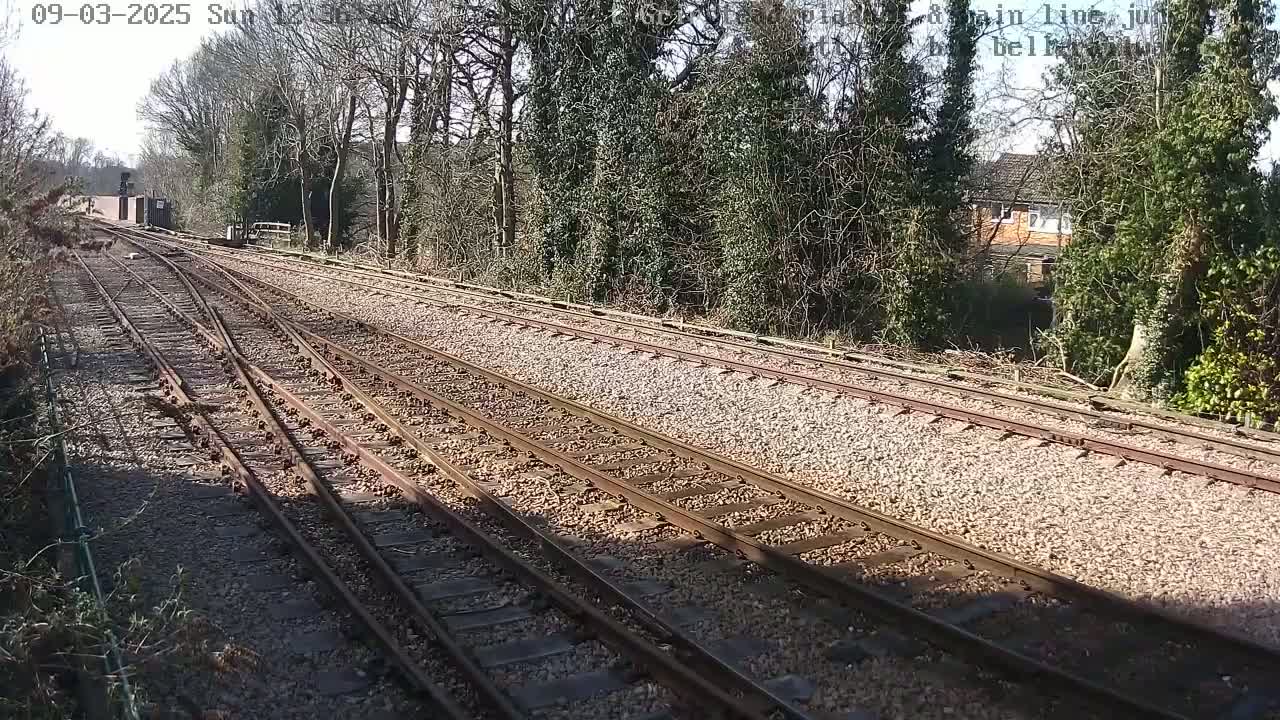 Multiple train tracks diverge from a railway station on a sunny day, surrounded by trees and a residential building in the distance.