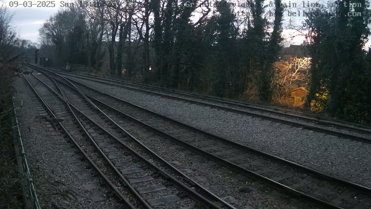Multiple train tracks diverge through a wooded area under an overcast sky.