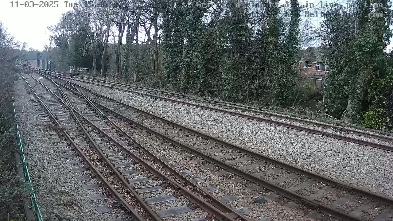Multiple train tracks diverge from a point, leading through a sparsely wooded area on an overcast day.