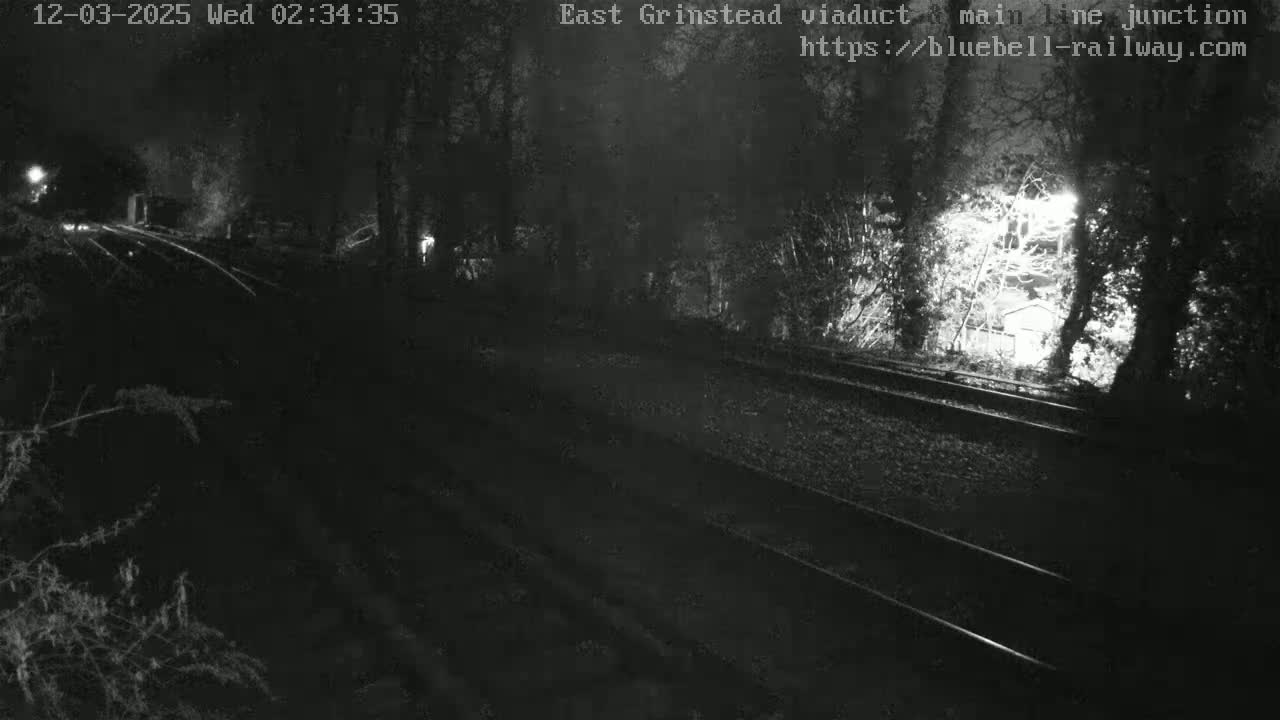 A nighttime view of train tracks running through a dimly lit wooded area.