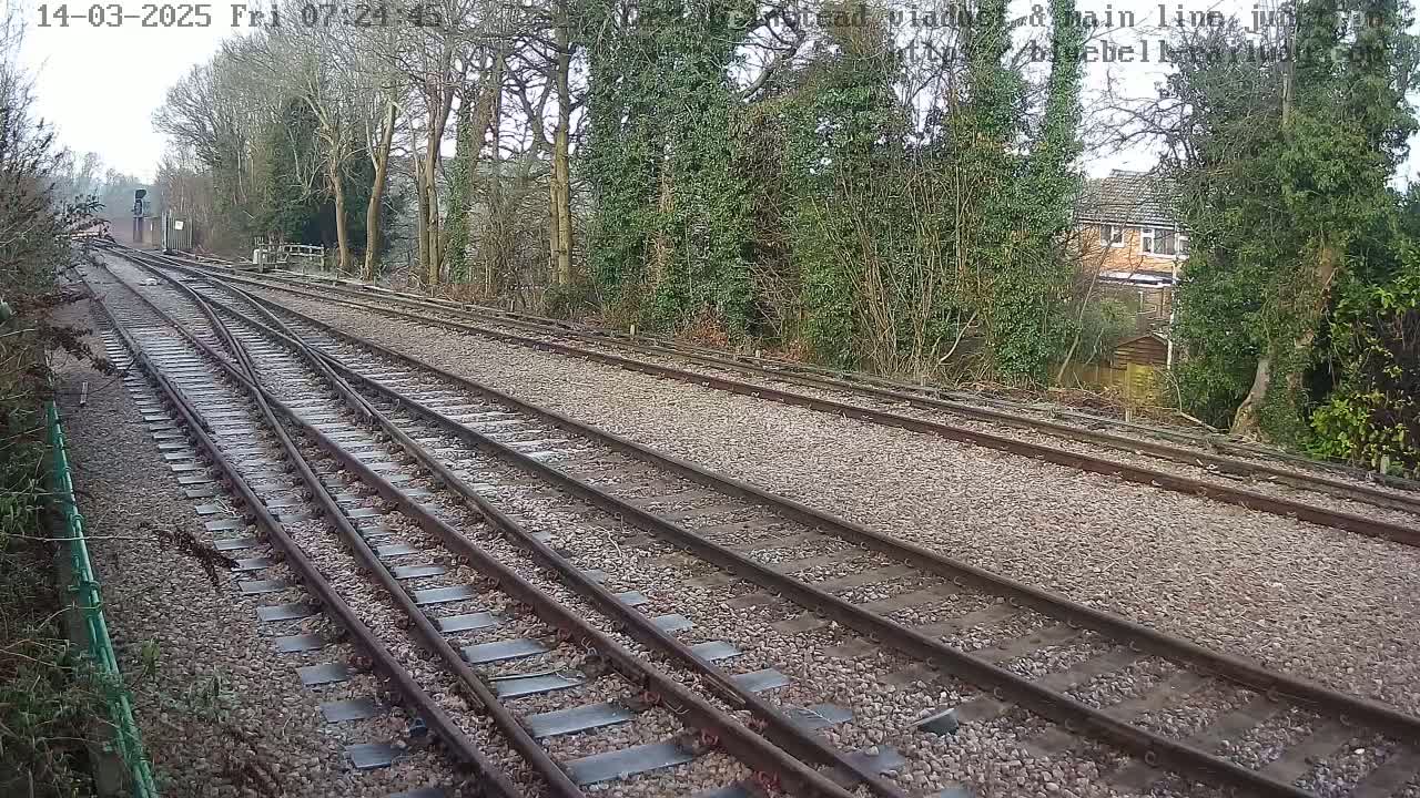 A view of railway tracks branching off into a point, surrounded by trees and a house in the background on an overcast day.