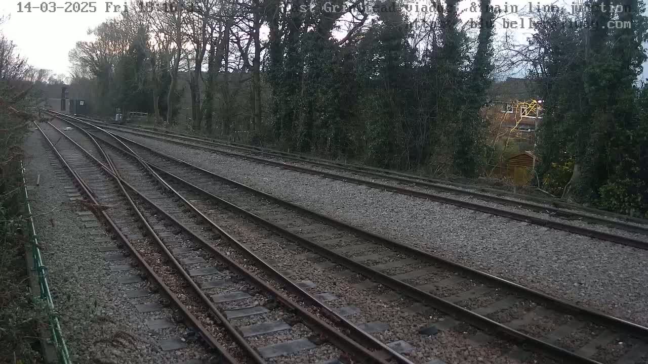 Three sets of train tracks diverge from a point, running through a gravel bed bordered by trees and shrubs under an overcast sky.