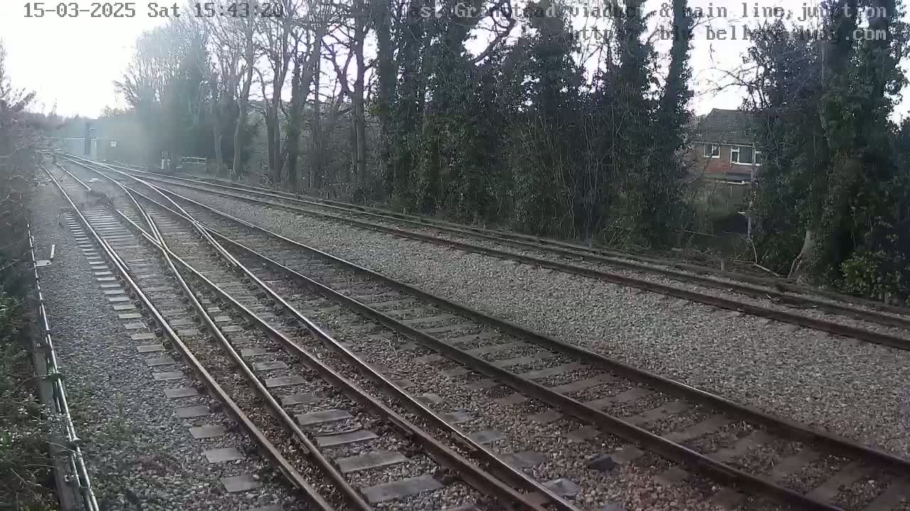 Multiple train tracks diverge through a tree-lined area on an overcast day.