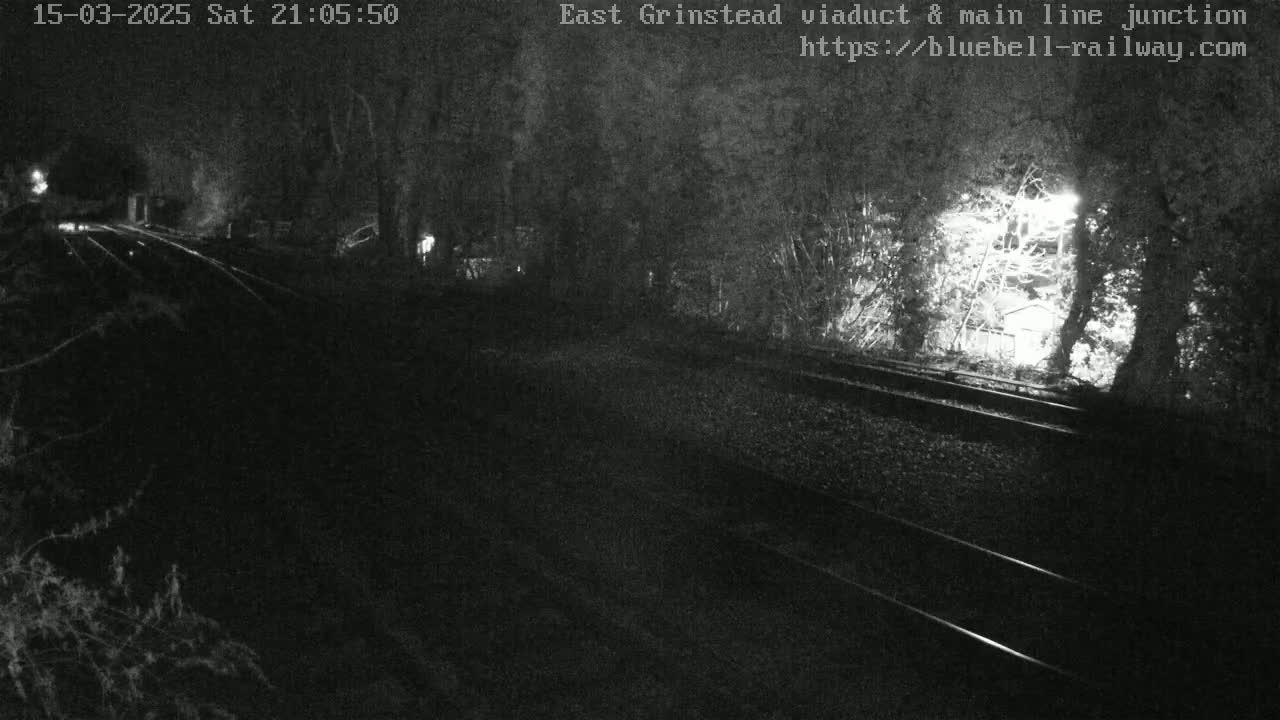 A nighttime view of train tracks running through a wooded area under dark, possibly overcast, conditions.