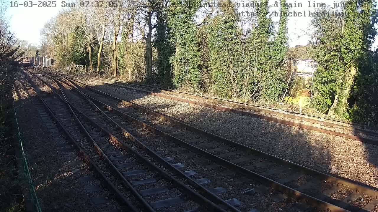 Multiple train tracks diverge through a sunny landscape of trees and shrubs.