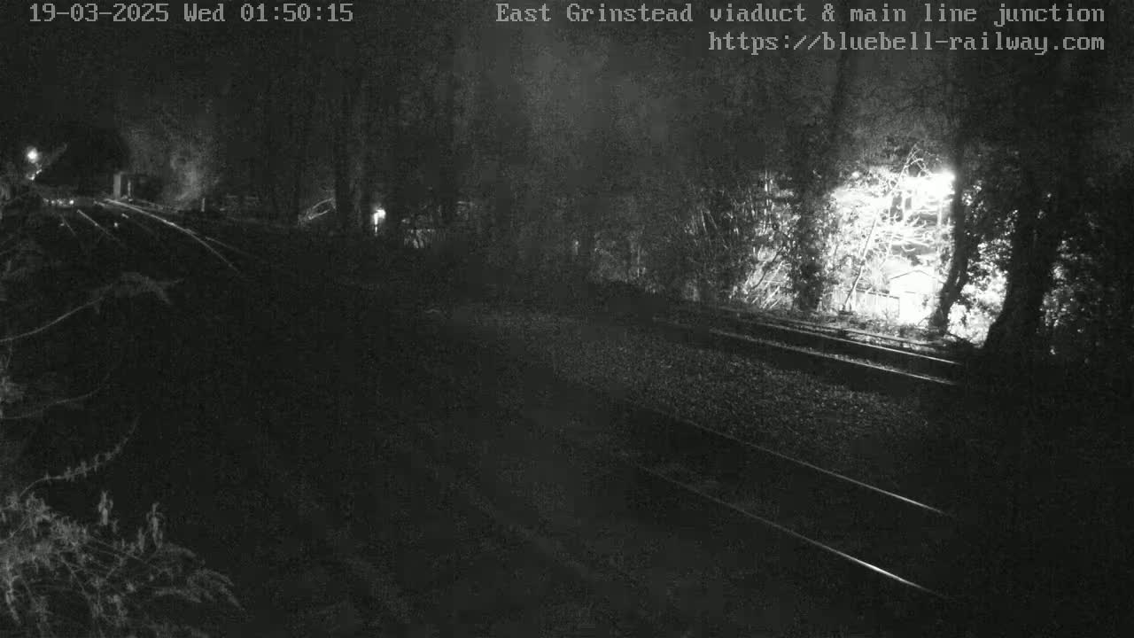 A nighttime, low-light view of train tracks running through a wooded area.
