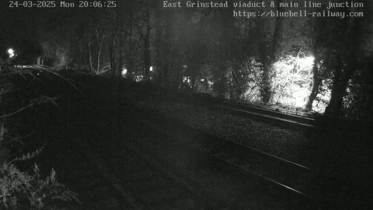 A nighttime view of train tracks running through a wooded area under dark conditions.