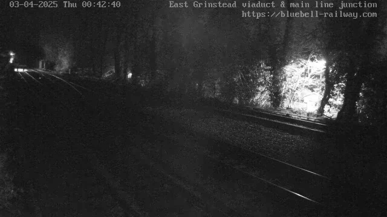 A nighttime view of railroad tracks surrounded by dark trees and bushes, under dark conditions.