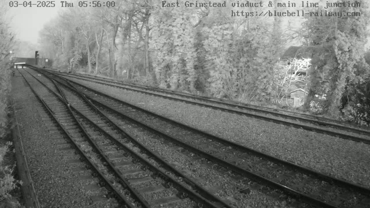 Converging train tracks extend into a dimly lit, tree-lined area on an overcast day.