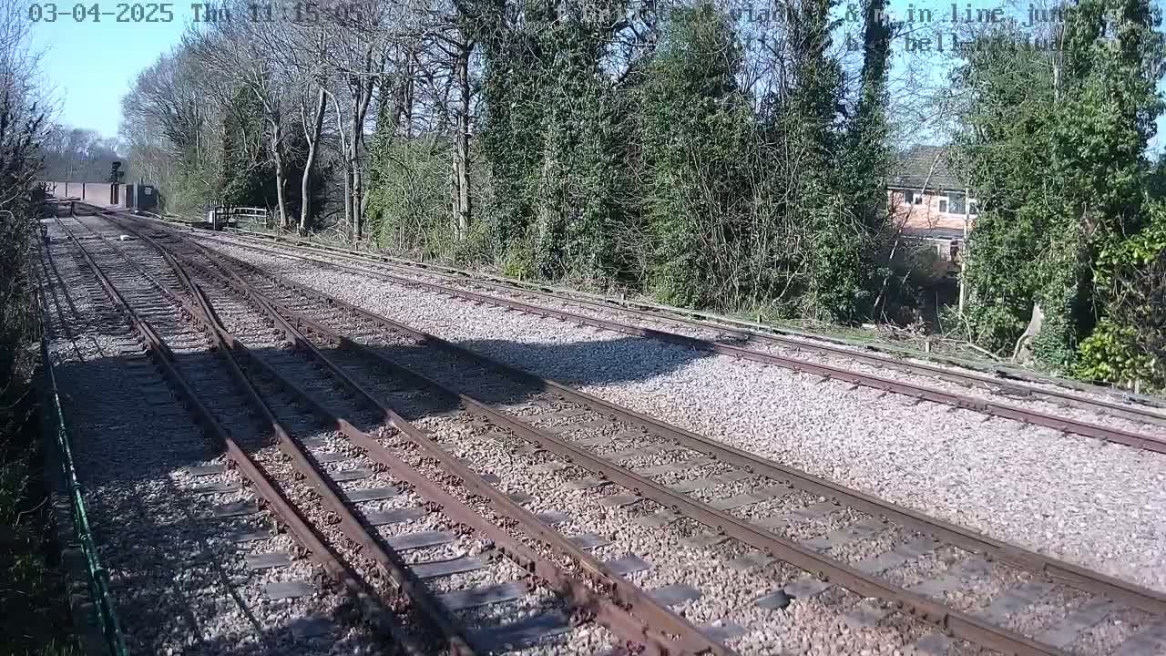 A view of multiple train tracks on a sunny day, bordered by trees and shrubs, with a building visible in the distance.