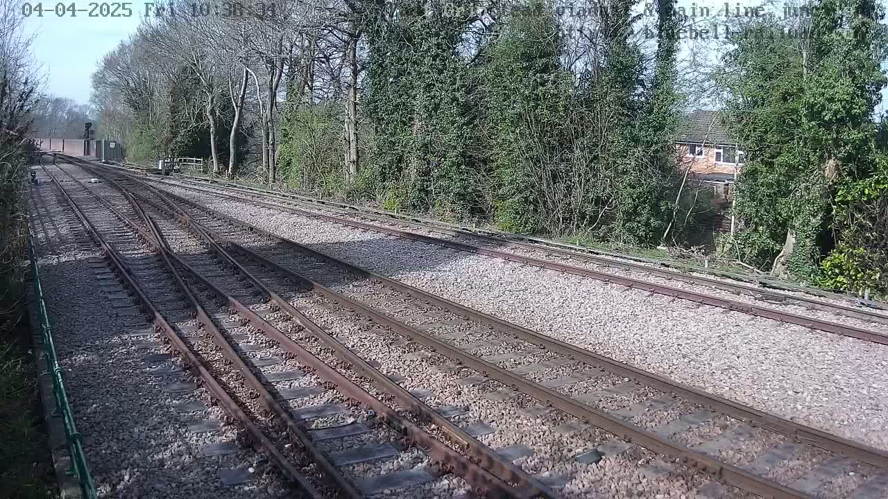 Multiple train tracks diverge in a sunny, outdoor setting, bordered by trees and shrubs.