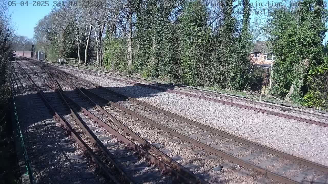 Multiple train tracks stretch into the distance on a sunny day, bordered by trees and shrubs.