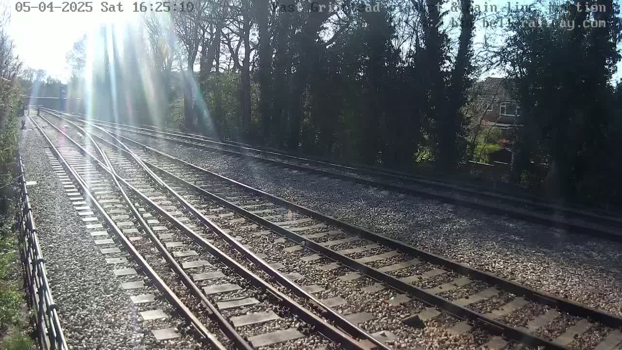 Multiple train tracks diverge amidst sunny weather, bordered by trees and a house in the distance.