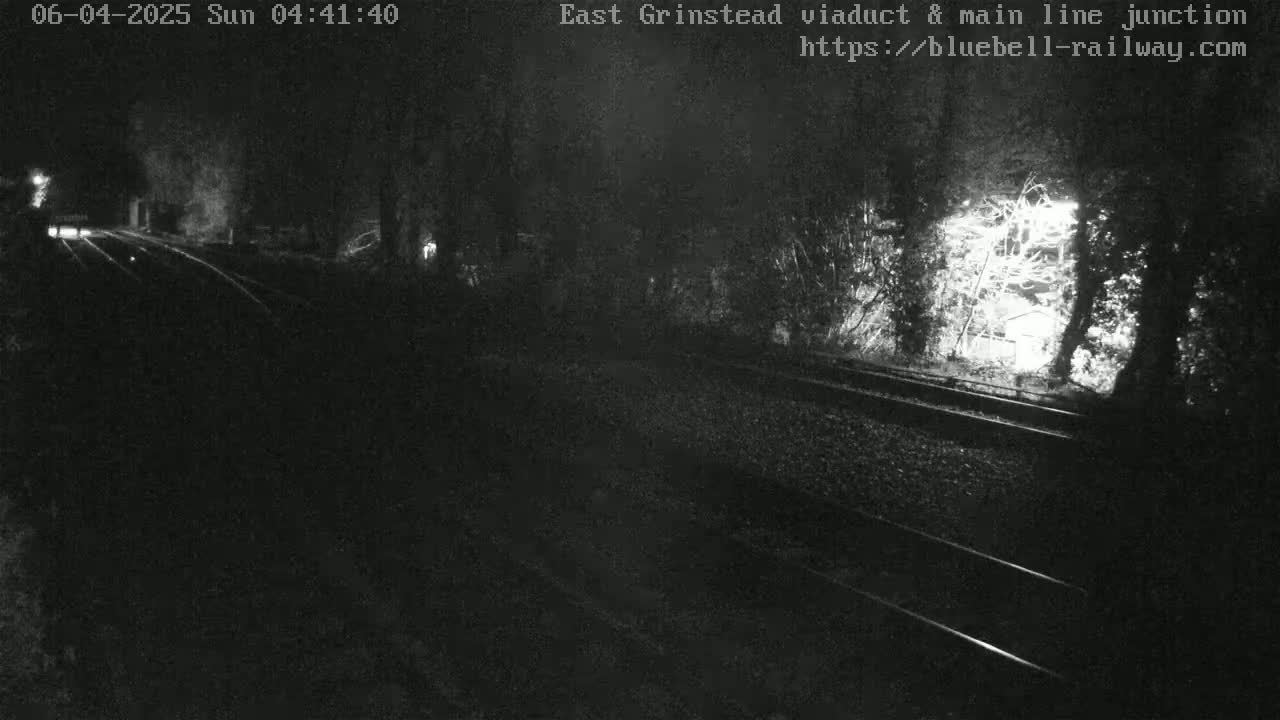 A nighttime, low-light view of a railroad track cutting through a wooded area.