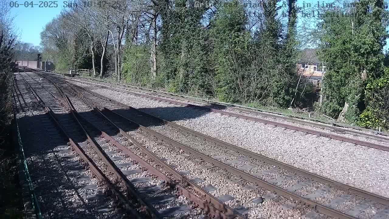 Multiple train tracks extend into the distance on a sunny day, bordered by trees and shrubs.