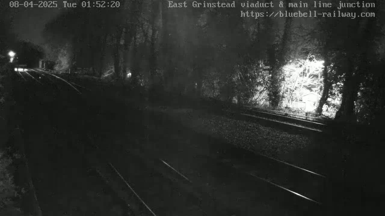 A nighttime view of a railway line bordered by trees, illuminated by faint lights.