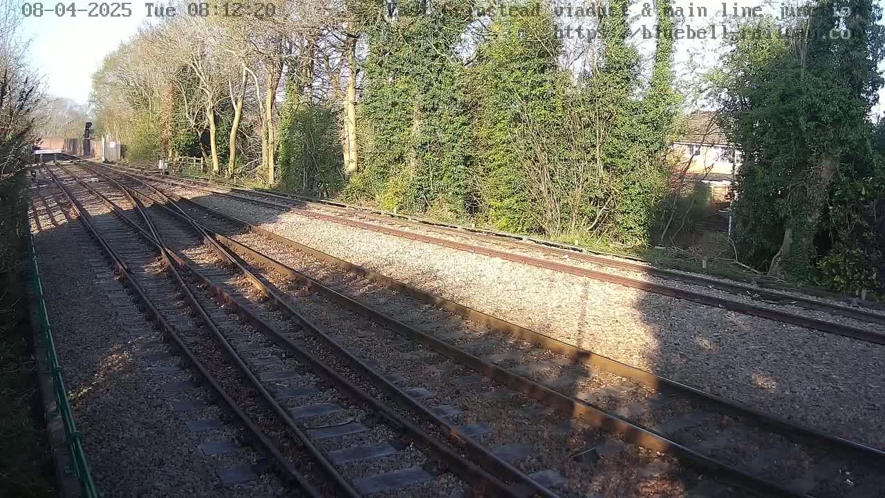 Multiple train tracks diverge through a sunny, tree-lined area.