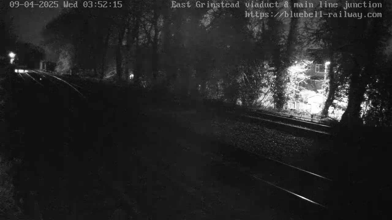 A nighttime view of railroad tracks running through a wooded area, dimly lit by artificial light sources.