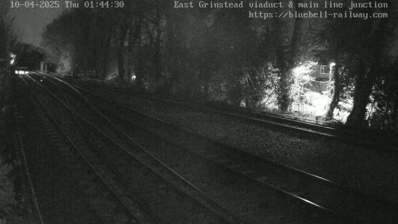 A nighttime view of train tracks splitting into two directions, bordered by dark trees and a dimly lit building in the background.