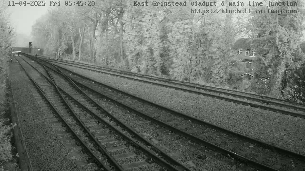 A misty morning view of multiple train tracks converging, flanked by trees and a building in the background.