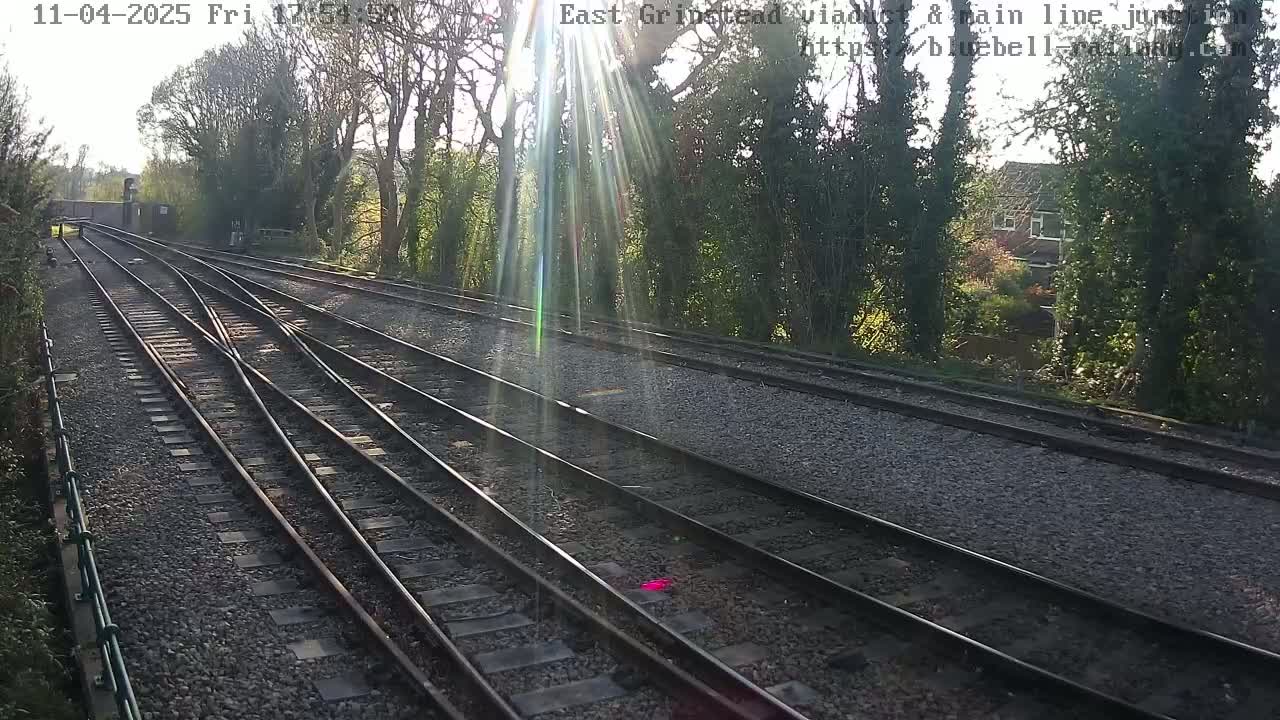 Several train tracks diverge at a railway junction under a sunny sky, surrounded by trees and vegetation.