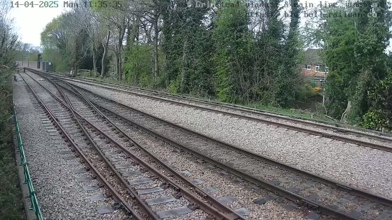 A view of multiple train tracks diverging from a point, bordered by lush green trees and shrubbery under a seemingly clear sky.