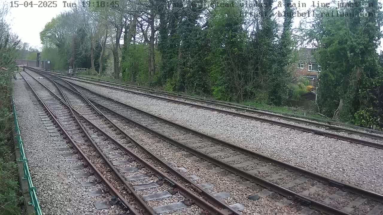 Multiple train tracks diverge from a point, surrounded by trees and a building in the background, under an overcast sky.