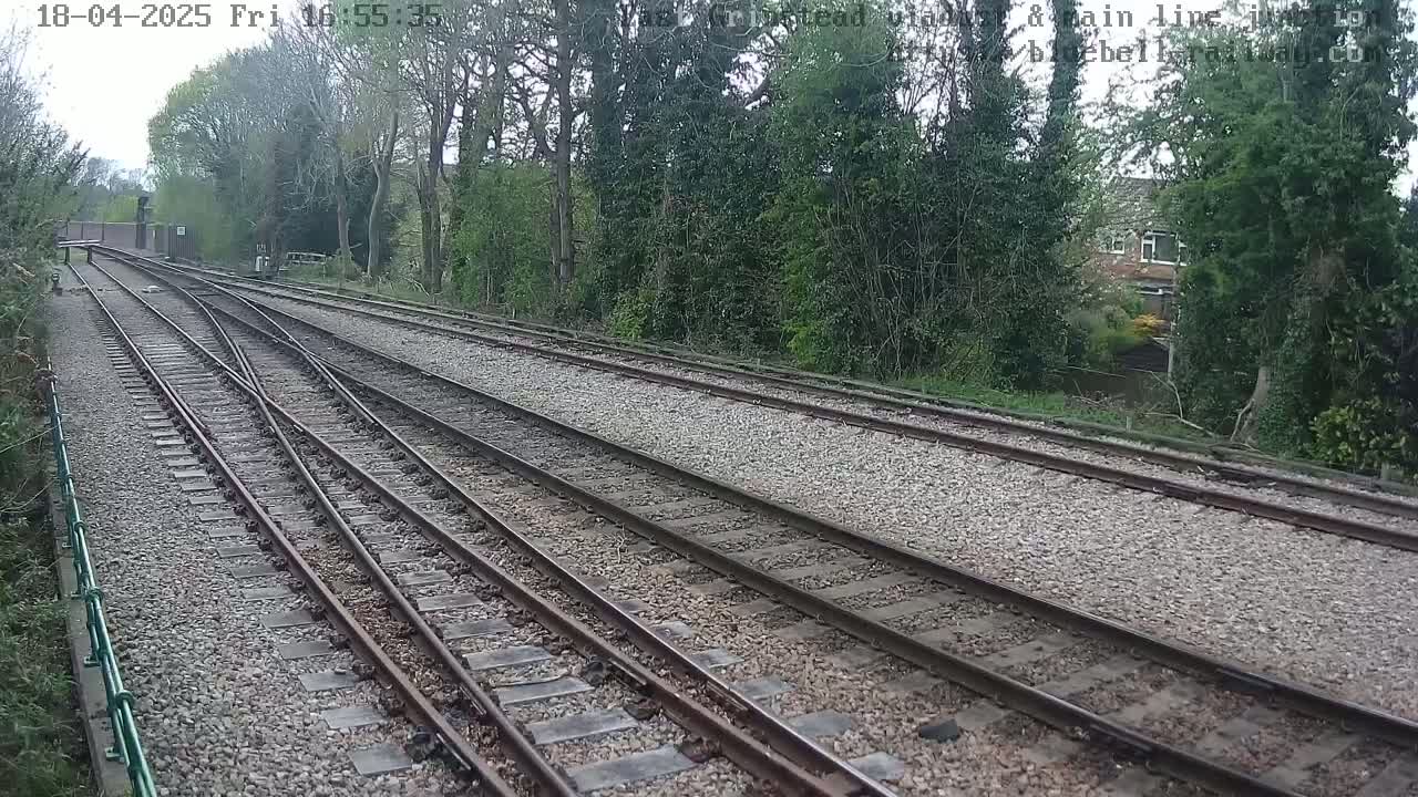 Multiple train tracks diverge from a point, surrounded by trees and vegetation under a partly cloudy sky.