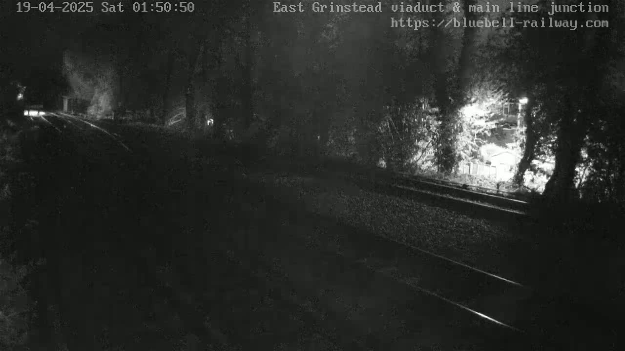 A nighttime, low-light view of a railway track running through a wooded area.