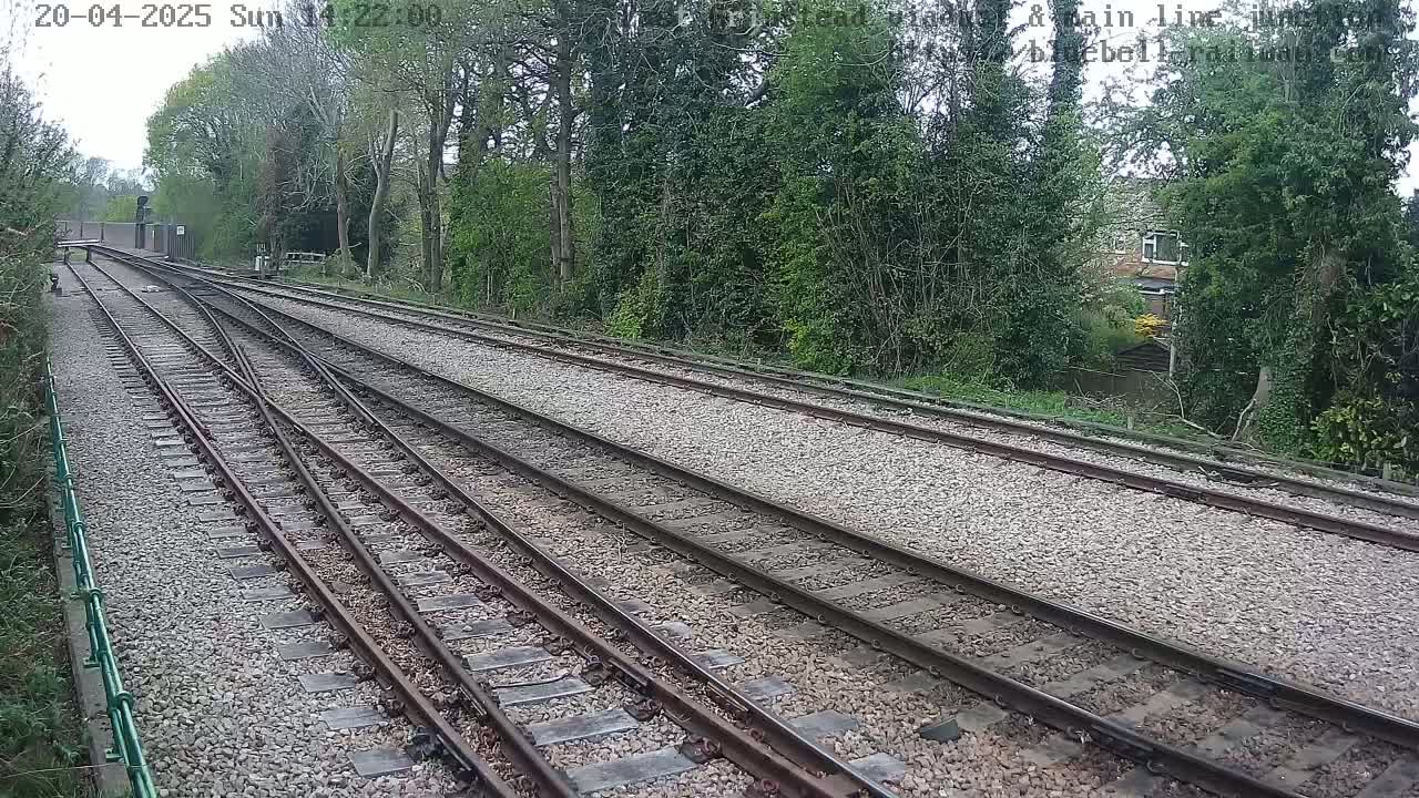 Multiple train tracks diverge from a point, surrounded by lush green vegetation under a partly cloudy sky.
