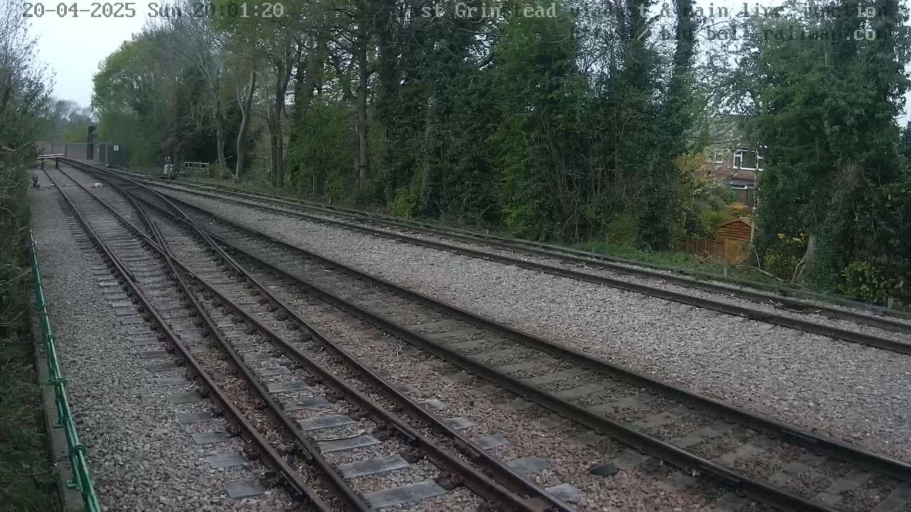 Three sets of train tracks diverge, passing through a wooded area on an overcast day.