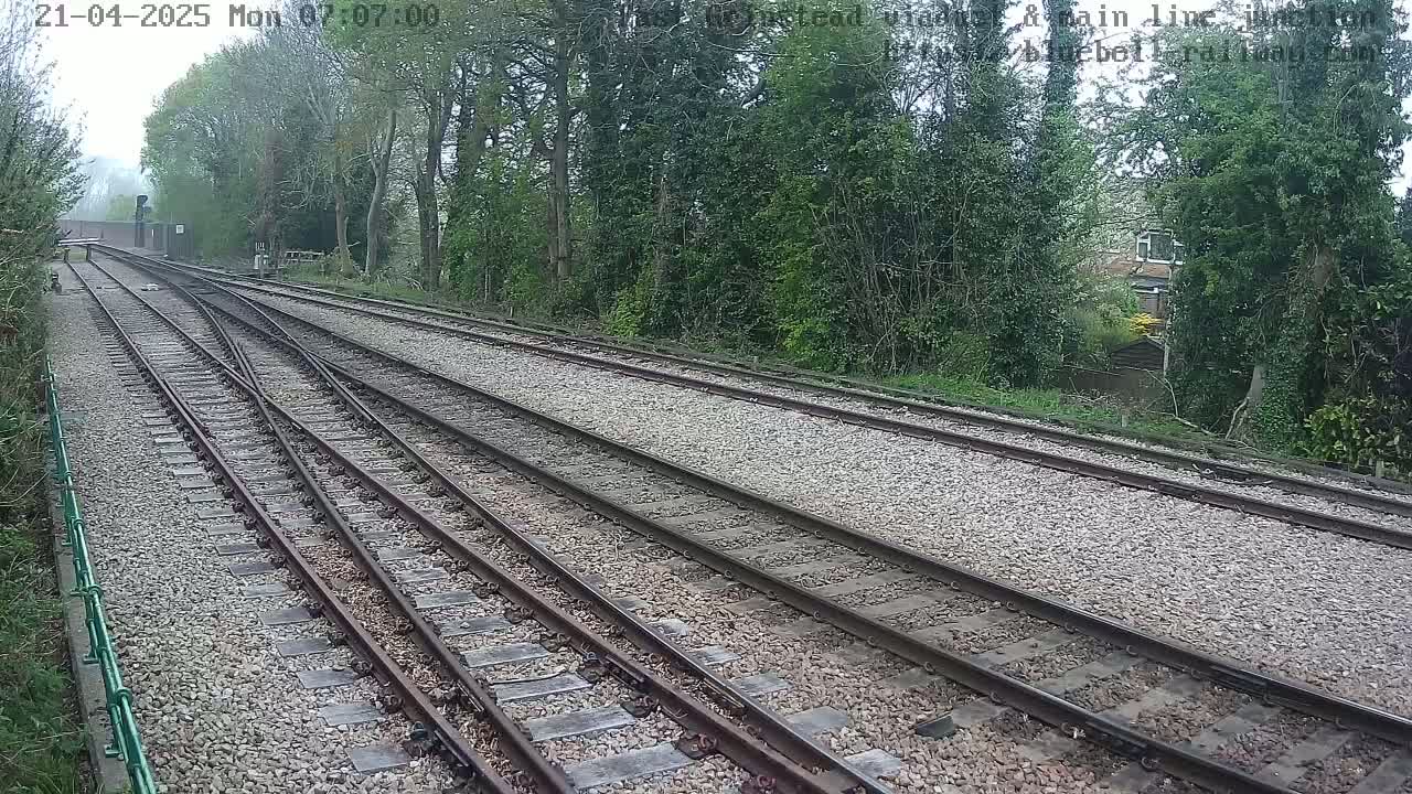 Several train tracks diverge through a landscape of green trees and shrubs under an overcast sky.