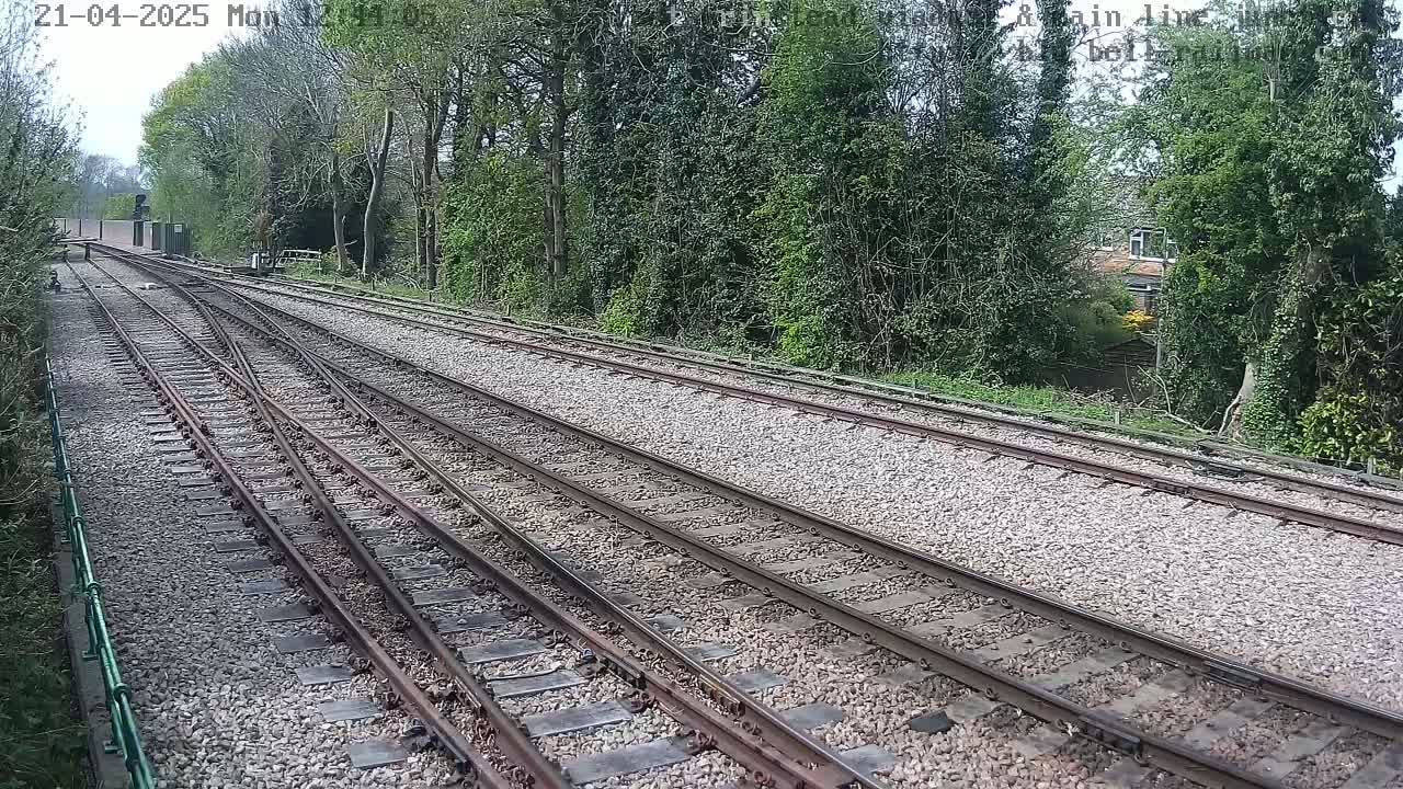 Multiple train tracks diverge through a landscape of lush green trees and shrubs under a seemingly clear sky.