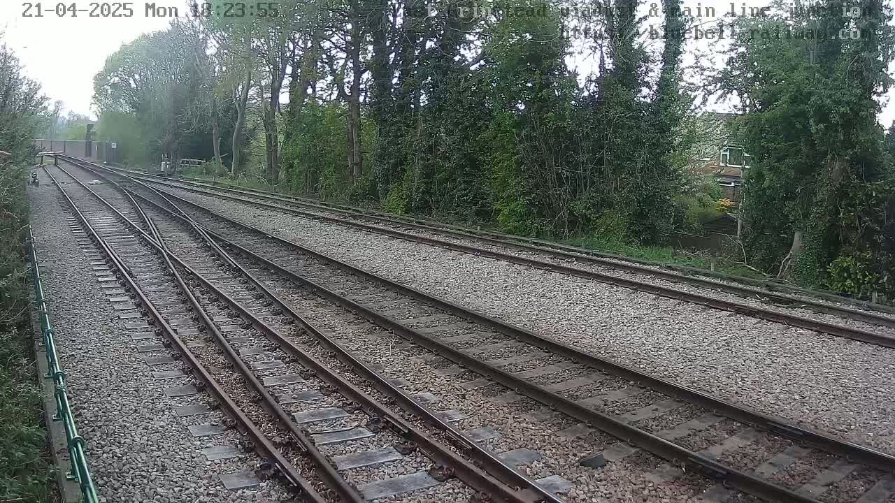 A view of several train tracks that diverge, bordered by trees and a stone embankment under an overcast sky.