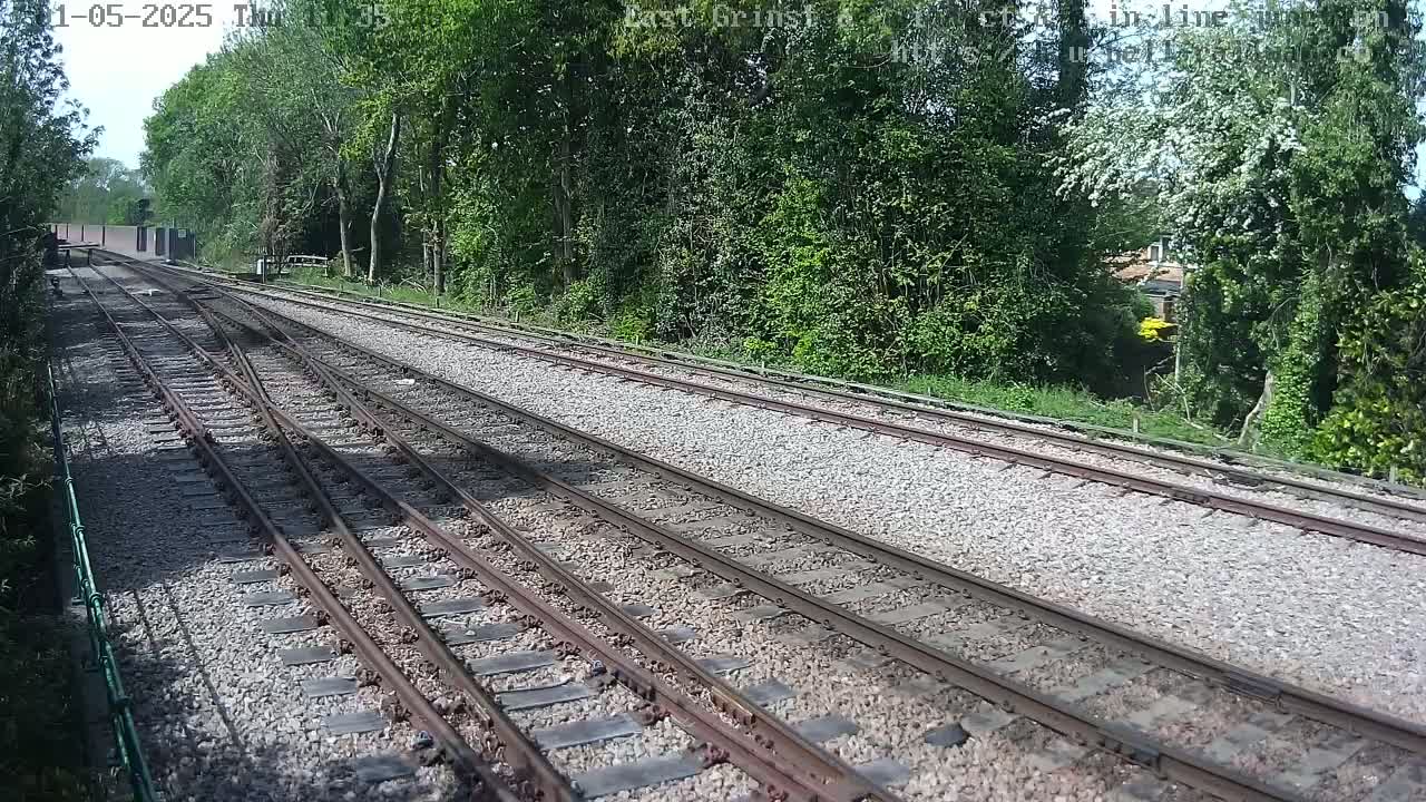A sunny day view of railway tracks splitting into multiple lines, surrounded by lush green trees and bushes.