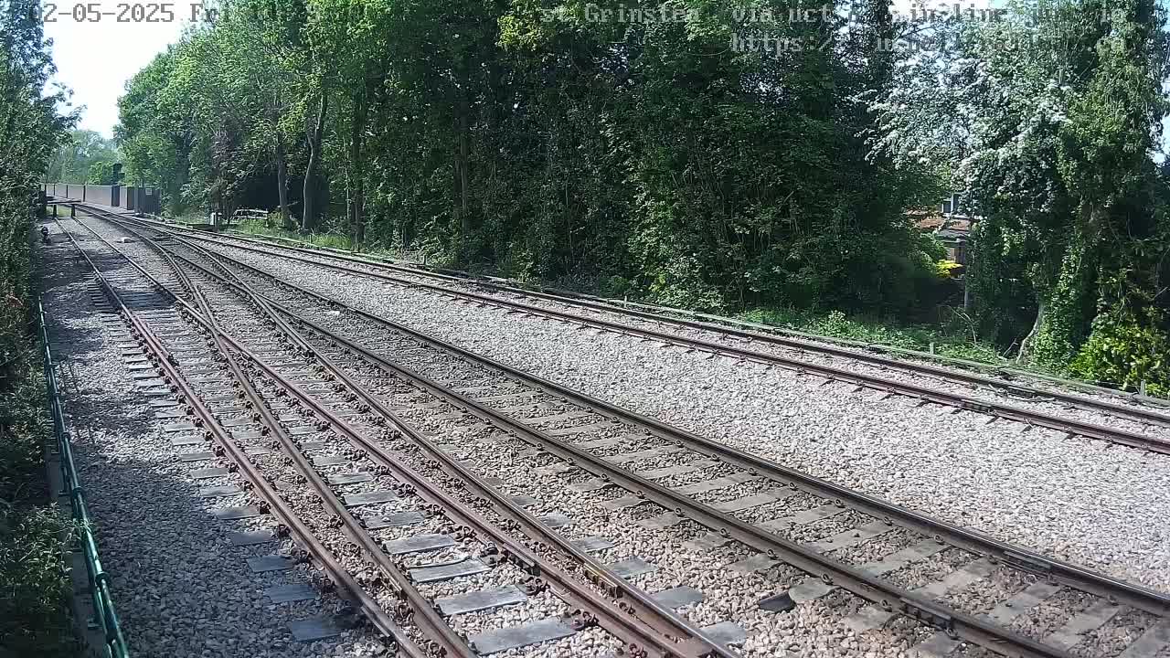 Several train tracks diverge from each other on a sunny day, bordered by lush green trees and vegetation.