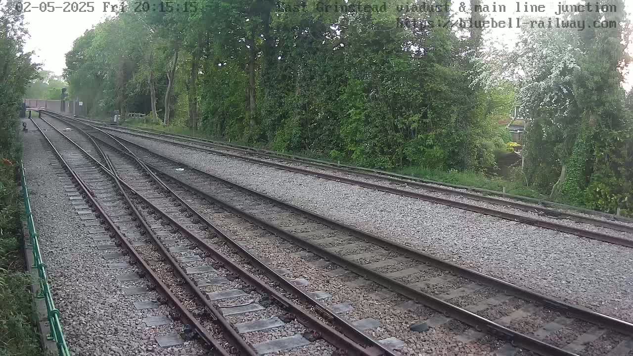 Multiple train tracks diverge through a landscape of green trees and shrubs under an overcast sky.