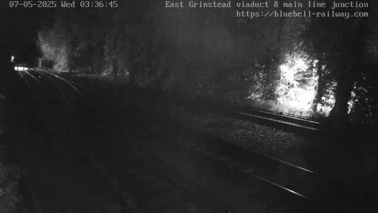 A nighttime, low-light view of train tracks surrounded by trees.