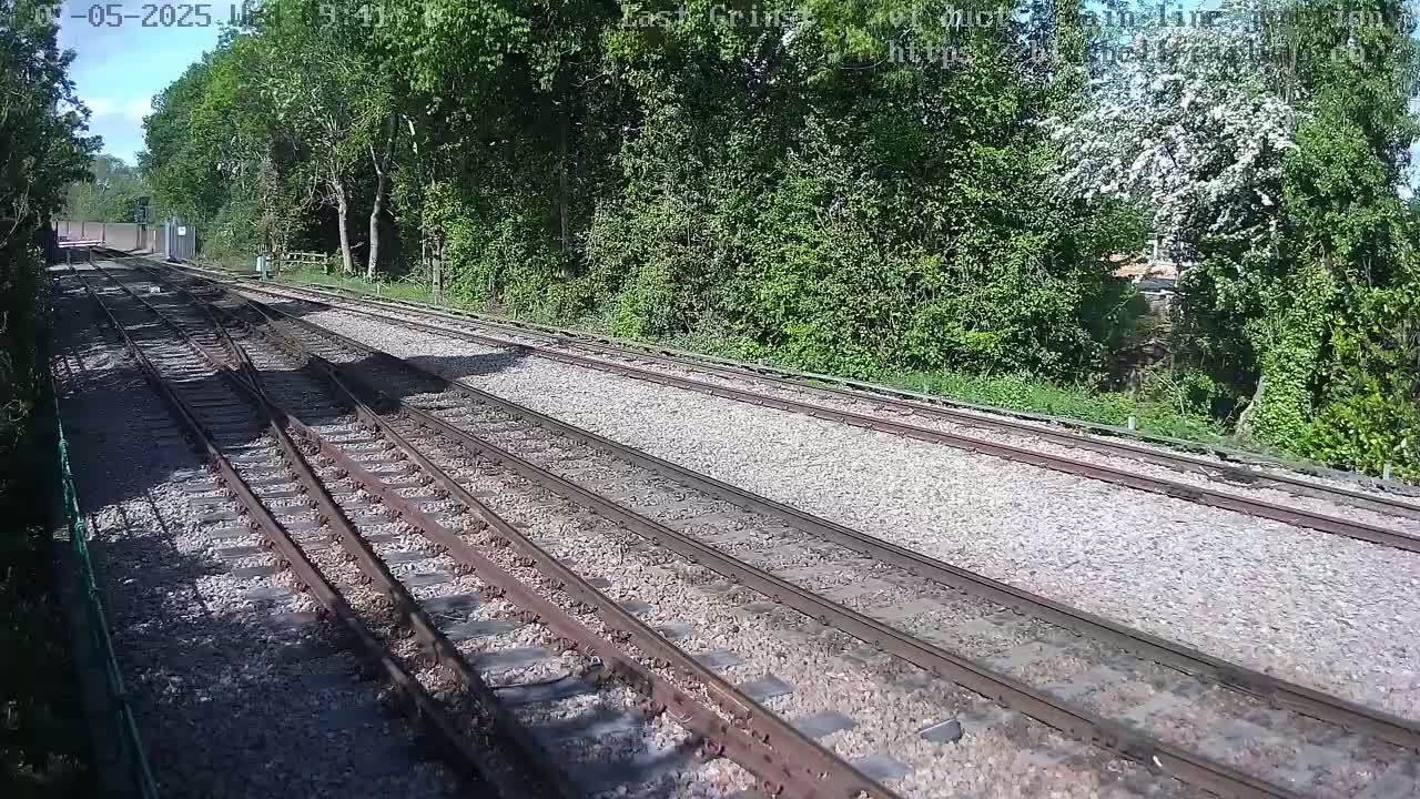 Several train tracks wind through a sunny landscape bordered by lush green trees and bushes.