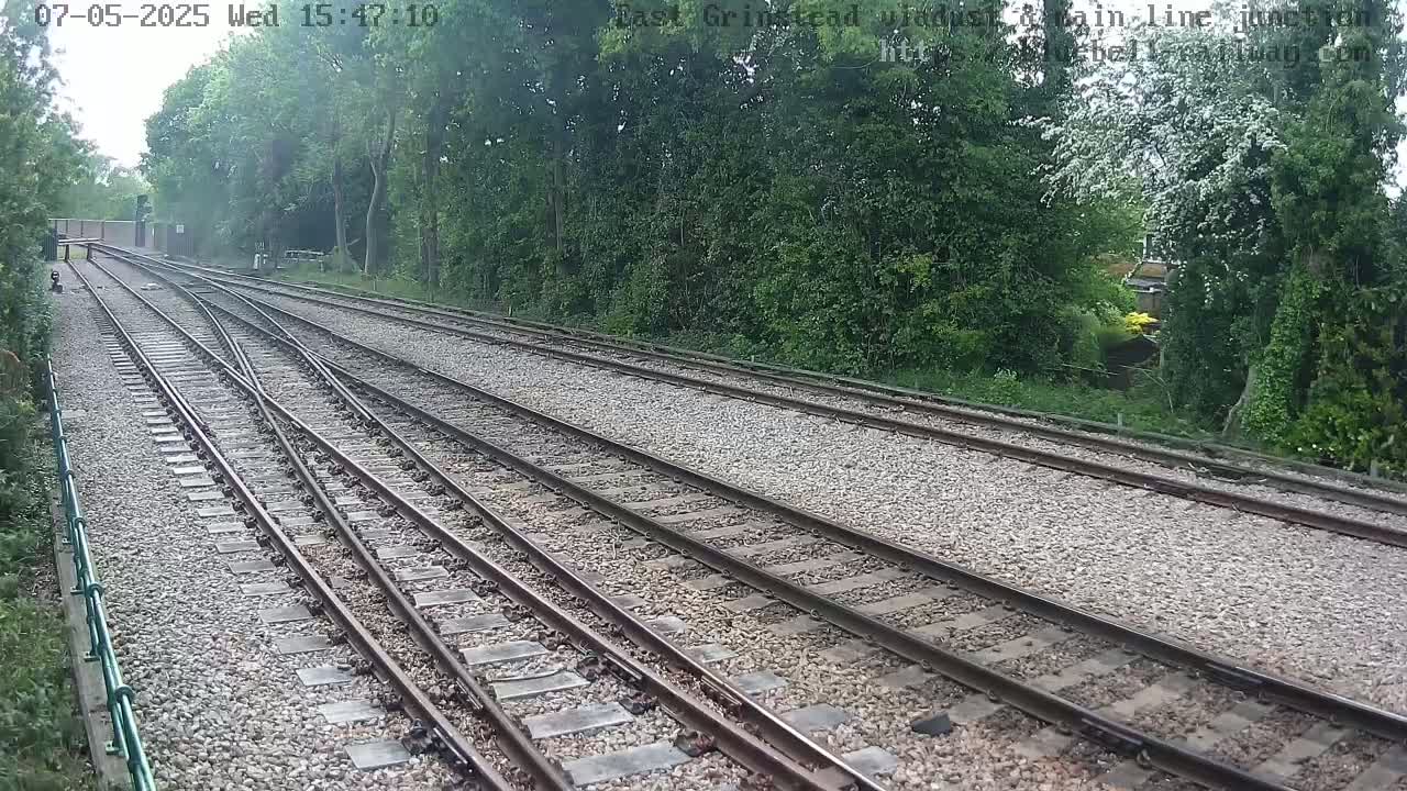 A view of train tracks splitting into multiple directions, bordered by lush green trees and under a seemingly overcast sky.