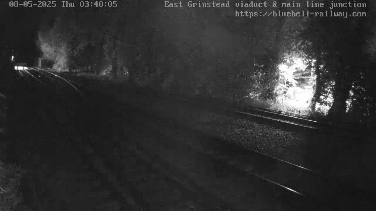 A nighttime, low-light view of train tracks that disappear into a dark, tree-lined area, with a faint light source visible in the distance.
