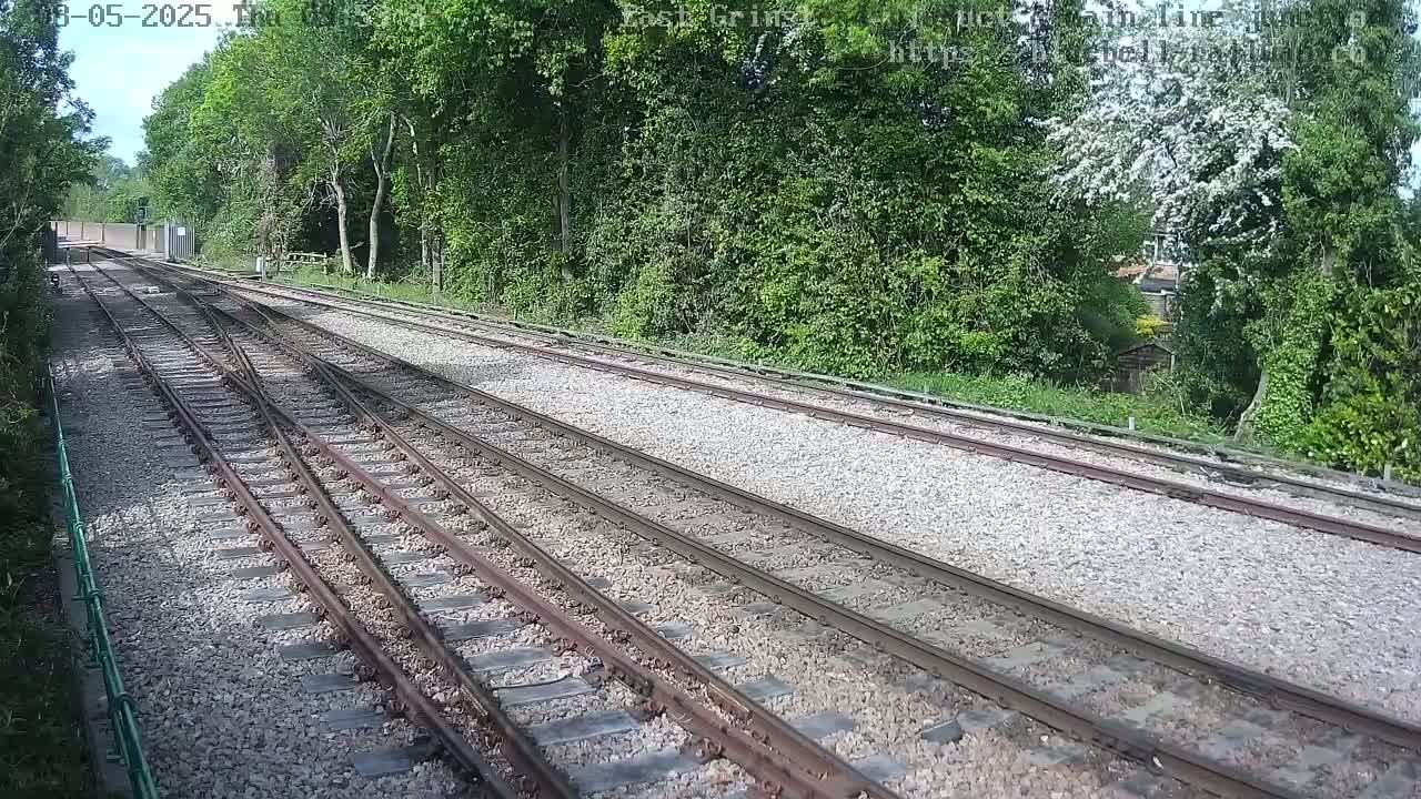 Train tracks diverge through a sunny, wooded area.
