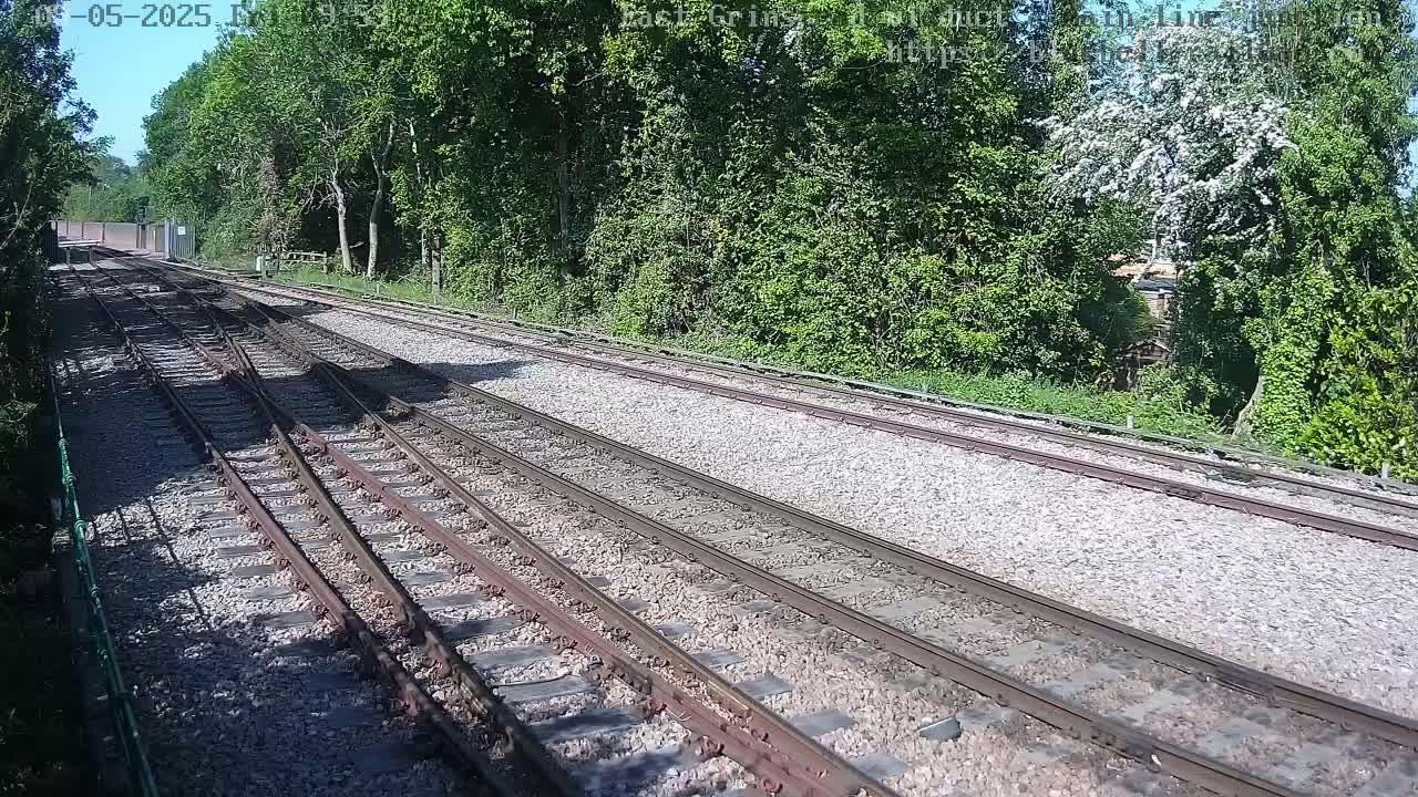 Several train tracks converge and diverge amidst a sunny landscape of lush green trees and shrubs.