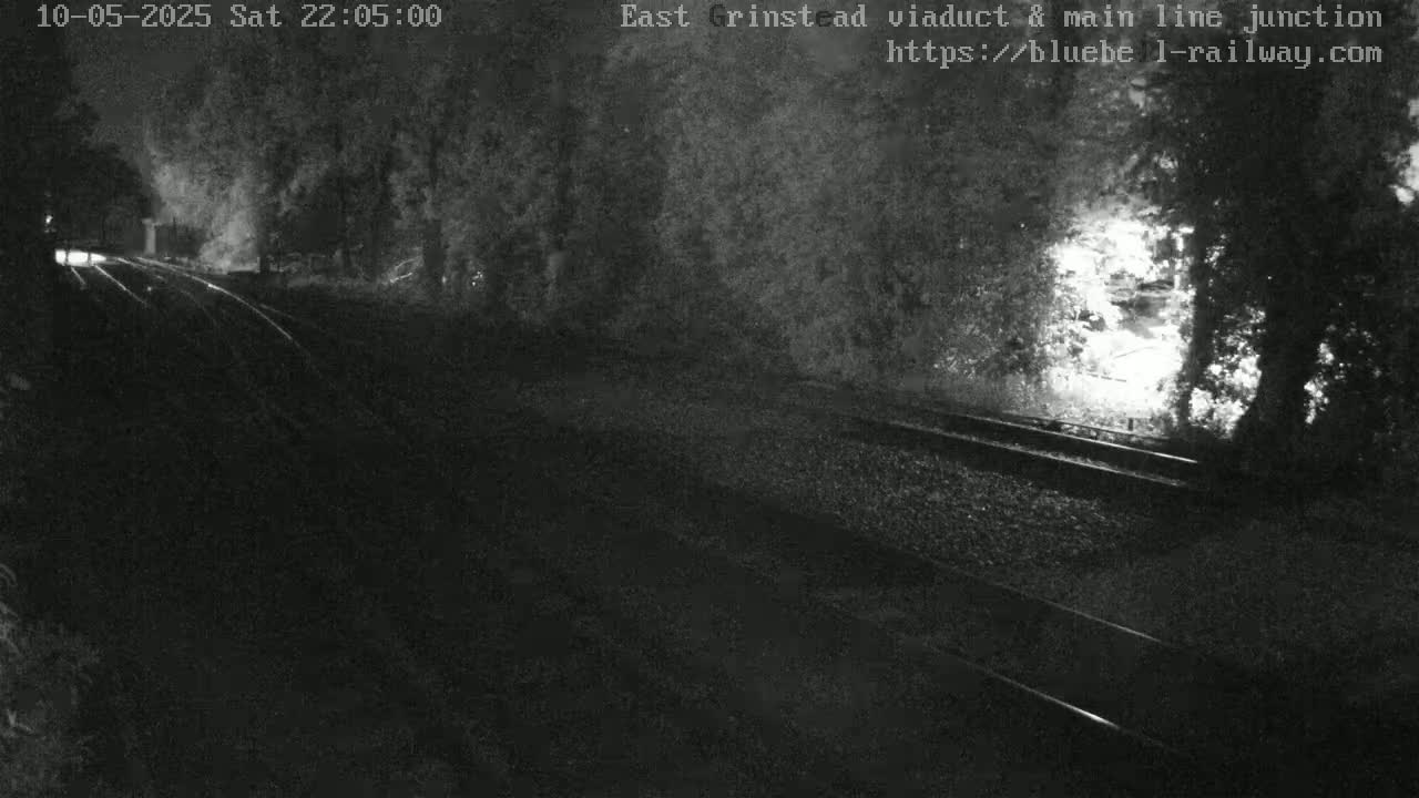 A nighttime view of train tracks bordered by trees under a dark sky.