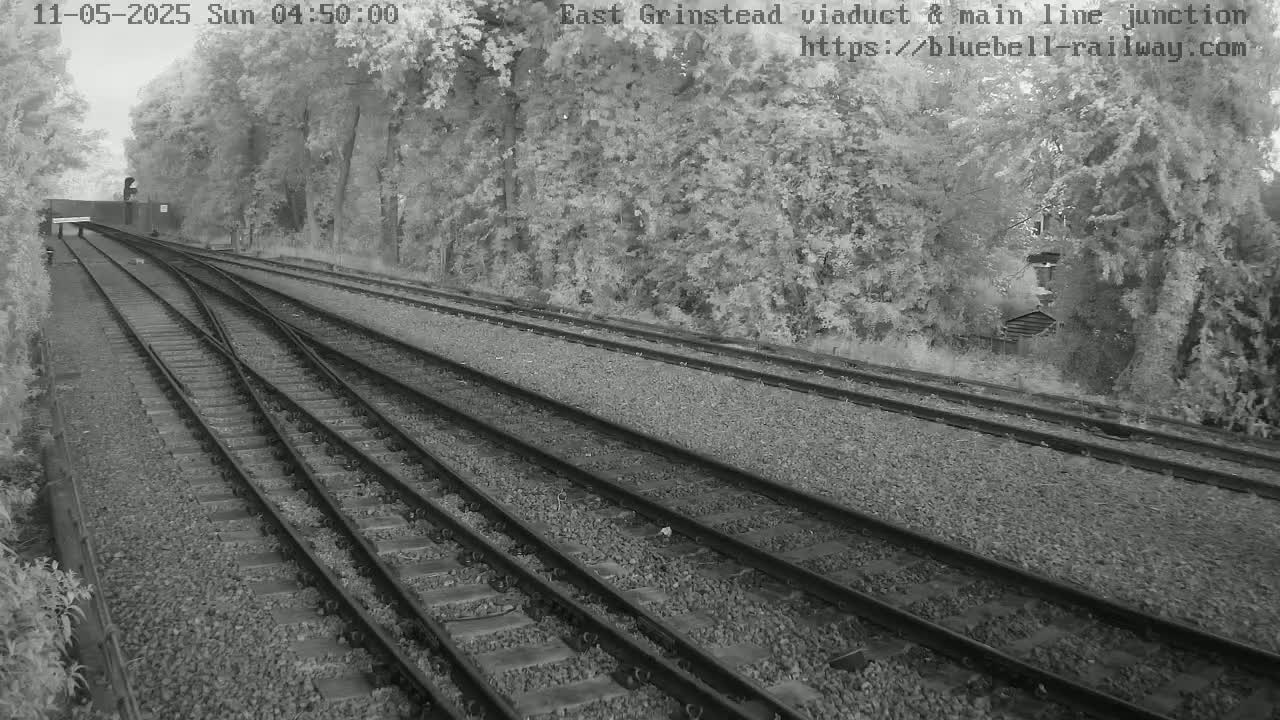 Several train tracks diverge through a wooded area on a cloudy day.